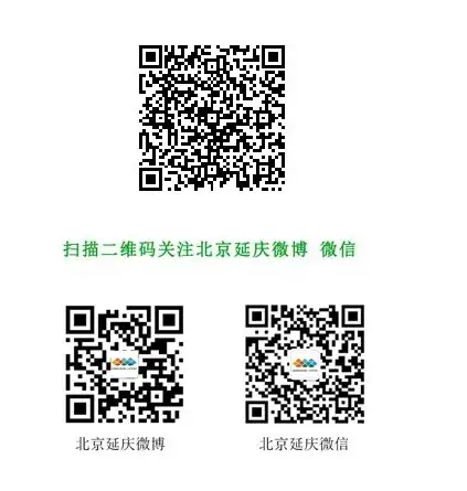 QQ图片20250701141911.webp